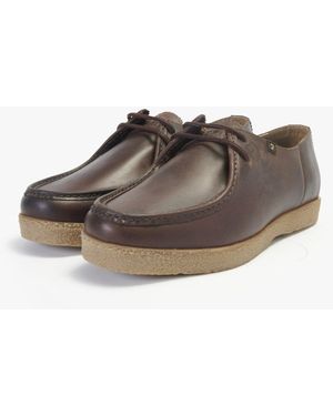 Farah Sander Wallabee Shoes - Brown