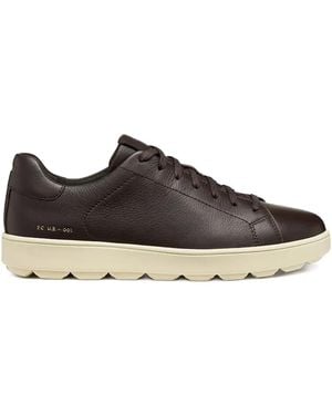 Geox Spherica Ecub-1 Trainers - Brown