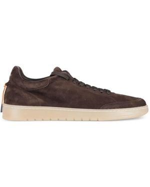 Barracuda Giordan G74 Suede Sneakers - Brown