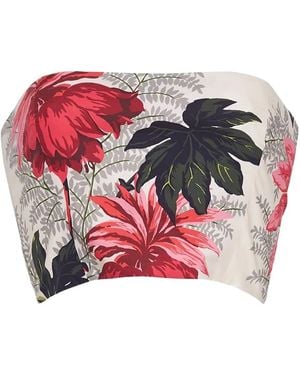 Cara Cara Elsa Floral Bustier Top - Red