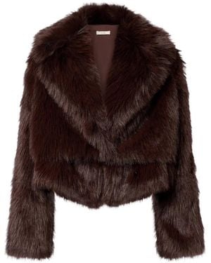 The Sei Notch-Lapel Jacket - Brown