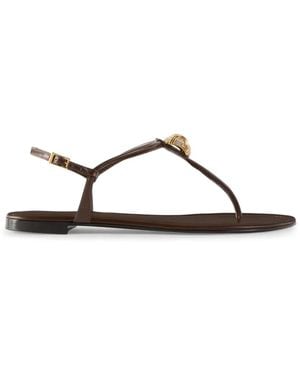 Giuseppe Zanotti Cocktail Flat Sandals - Brown