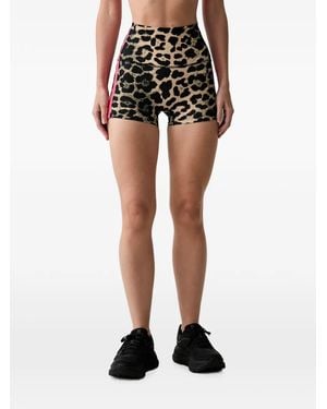 P.E Nation Leopard-Print Side-Stripe Shorts - Black