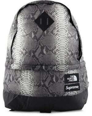 Supreme Tnf Snakeskin Lightweight Day Backpack - Grey