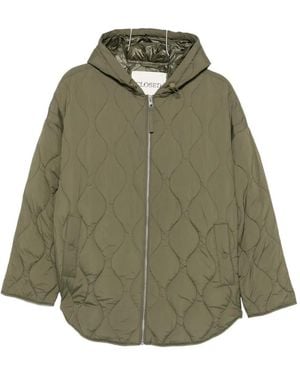 Closed Quilted Hooded Jacket - Green