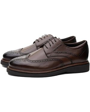 Poche Paris Cipele Brogues Shoes - Brown
