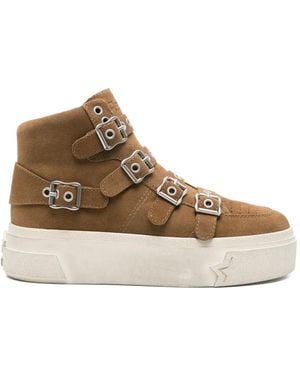 Ash Starmoon Buckle-Strap Sneakers - Brown