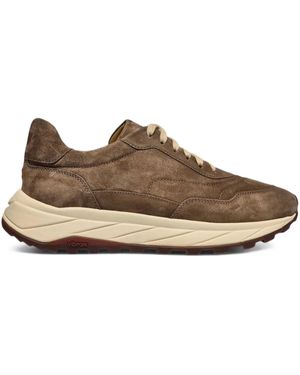 Henderson Sneakers Sharks - Marrone