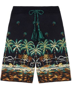 Alanui The Tale Of A Hawaiian Shorts - Blue