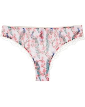 Dolci Follie Peacock Print Brazilian Briefs - Pink
