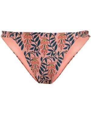 Agua Bendita Floral-Print Bikini Bottoms - Pink