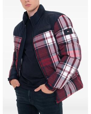 Tommy Hilfiger チェック パデッドジャケット - ブルー