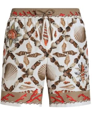 Dolce & Gabbana Shell-Print Swim Shorts - Brown