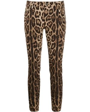 Dolce & Gabbana Five-pocket Leopard-print Pants - Multicolor