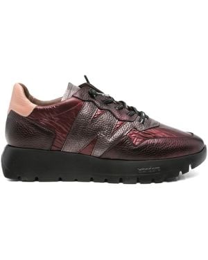 Wonders Odisei Trainers - Brown