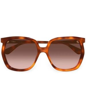 Chloé Tortoiseshell-Effect Square-Frame Sunglasses - Brown