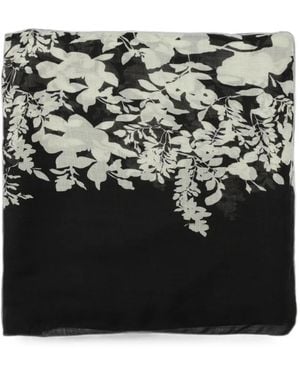 Agnona Floral-Print Scarf - Black