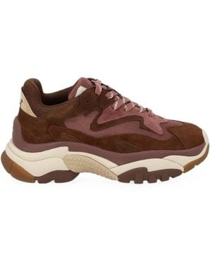 Ash Addict Paneled Sneakers - Brown