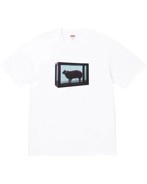 Supreme X Damien Hirst プリント Tシャツ - ホワイト