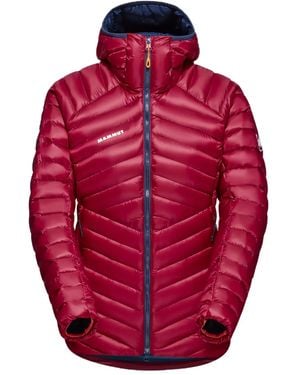 Mammut Sender - Red