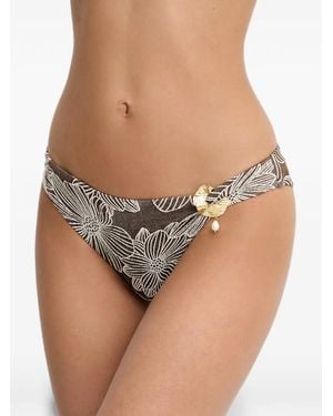 Twinset Floral-Print Bikini Bottoms - Brown