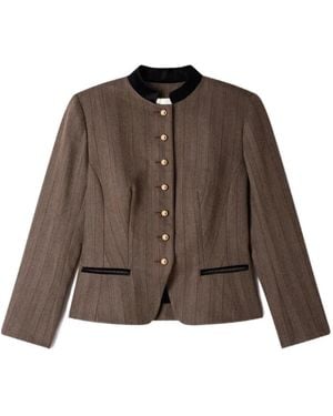 Sandro Gestreifte Jacke Mit Samtkragen - Braun