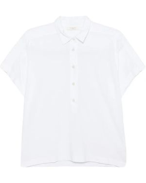 Zanone Polo De Algodón Con Botones - Blanco