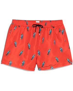 Paul Smith Costume Da Bagno Con Stampa Pappagalli - Rosso