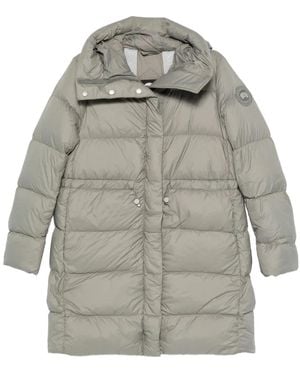 Canada Goose Hooded Padded Coat - グレー