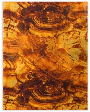 Roberto Cavalli Abstract-Print Scarf - Orange