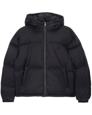 MSGM Hooded Puffer Coat - Blue