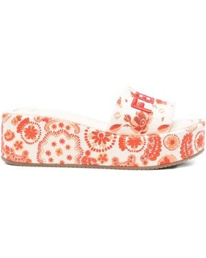 Fendi 55Mm Sunshine Floral-Print Sandals - Pink