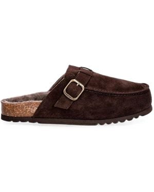Scholl Dakota Buckle-Fastening Mules - Bruin