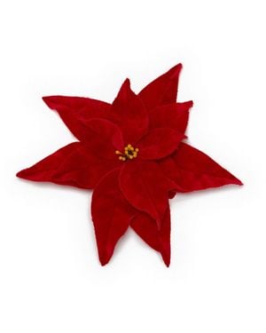 JW Anderson Velvet Pointsettia Brooch - Red