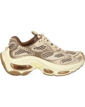 Ash Dragon Chunky Sneakers - Brown