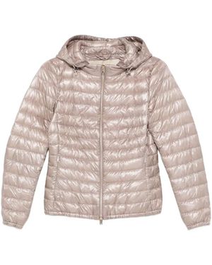 Herno Outerwears - Pink