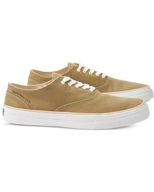 Fortela X Mr. Fliks Redondo Canvas Trainers - Green