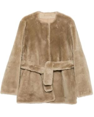 TOTEME Plush Shearling Jacket Rye - Natural