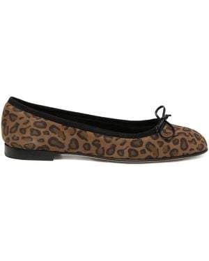 Manolo Blahnik Ballerine Veralli - Marrone