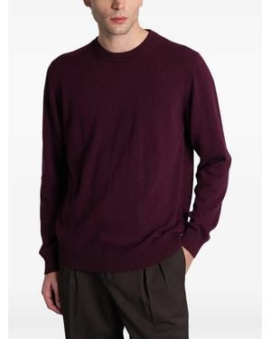 Alpha Studio Ribbed-Trim Sweater - Purple