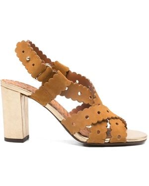 Chie Mihara Scalloped Biby Sandals - Brown
