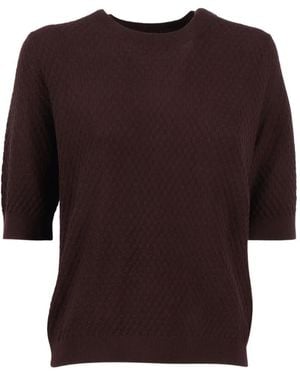 Kangra Short-Sleeve Sweater - Brown