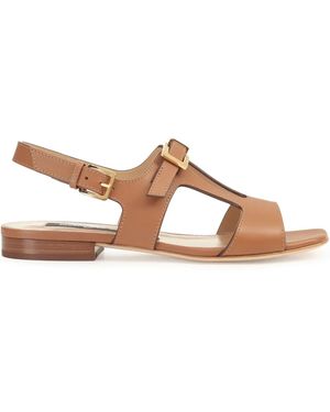 Sergio Rossi Nora Sandals - Brown