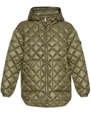 Moncler Gewatteerd Donsjack - Groen