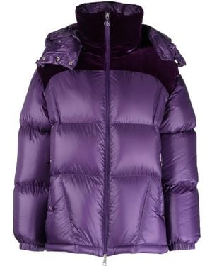 Moncler Meandre パデッドジャケット - パープル