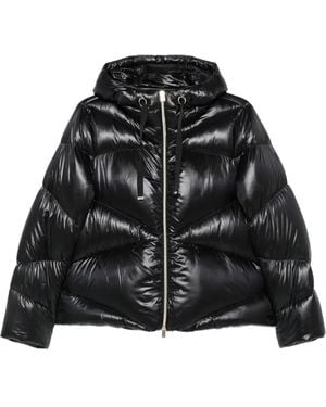 Herno Gesteppte Kapuzenjacke - Schwarz