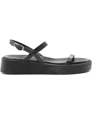 Ancient Greek Sandals Evriali Vachetta Sandals - Black