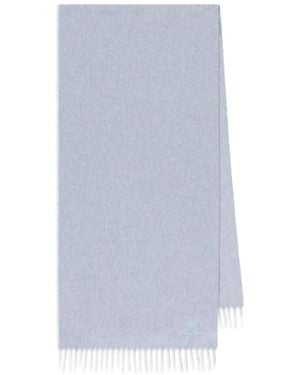 Loro Piana Fringed Cashmere Scarf - Blue