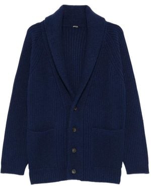 Kiton ショールカラー カーディガン - ブルー