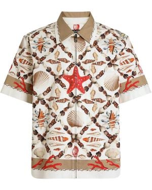 Dolce & Gabbana Camisa Hawaii con conchas estampadas - Multicolor